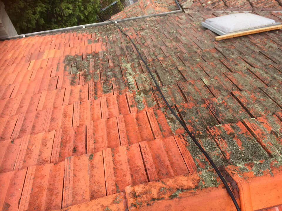 modern roof restoration