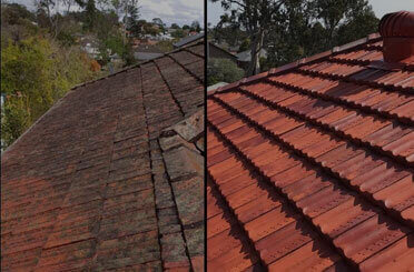 Roof Cleaning - SouthEast