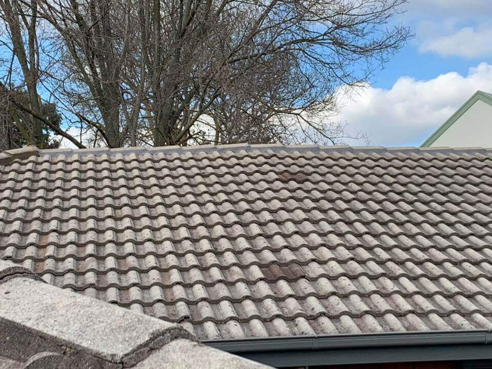 spray-roof-insulation